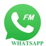 FM Whatsapp Apk
